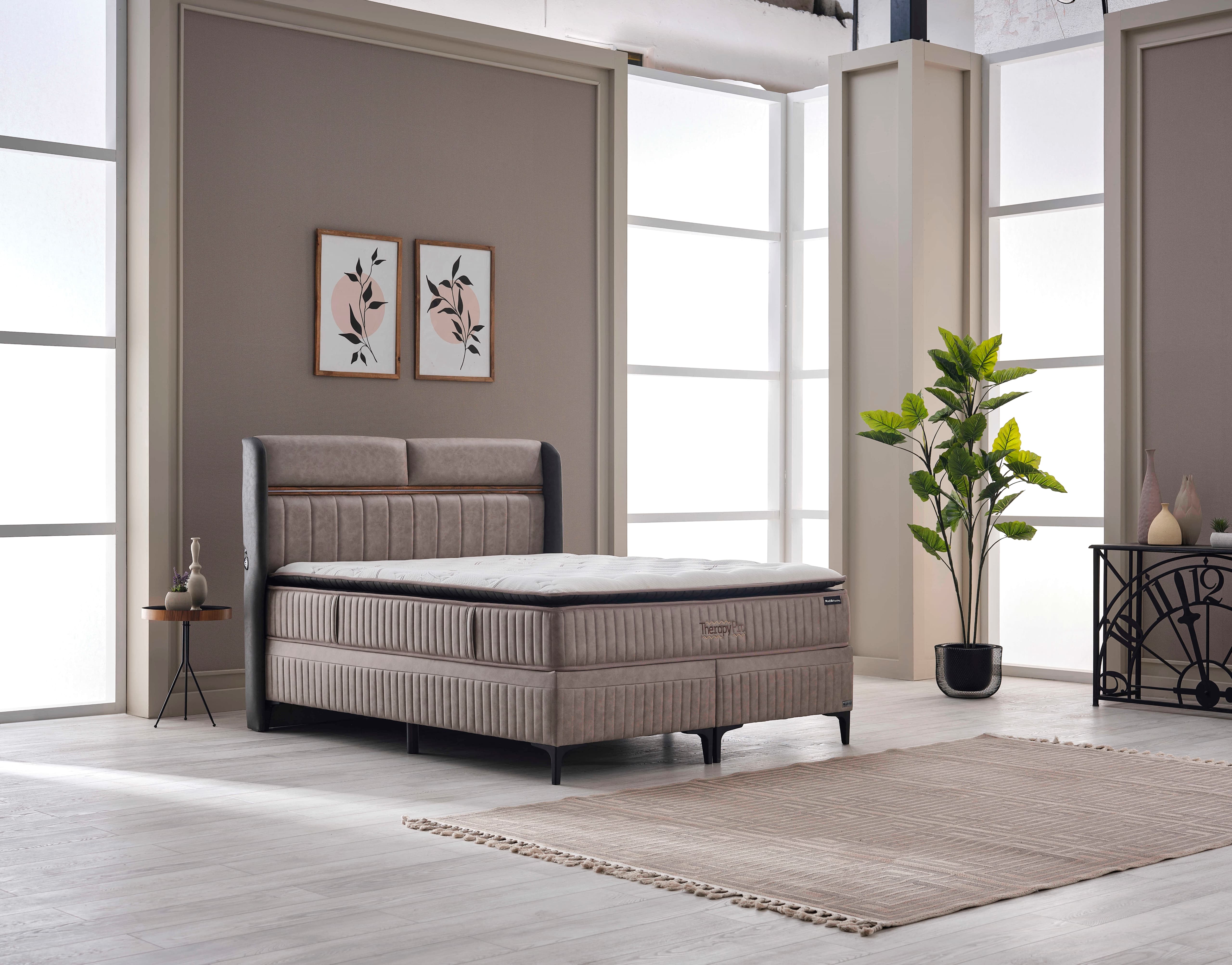 Therapy Pro 3-Piece Set