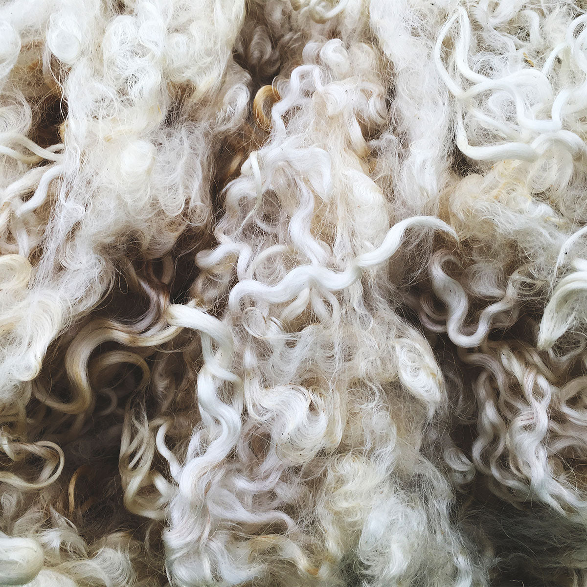 Woolbed yatak, %100 doğal koyun yünü ile ısı dengesini sağlayarak terlemeyi önler.