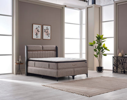 Therapy Pro 3-teiliges Set