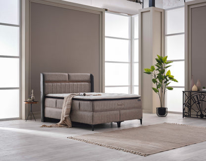 Therapy Pro 3-teiliges Set