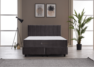 Comfort Baza’nın geniş sandık bölmesi, ekstra eşyalarınızı saklamanıza yardımcı olurken, Comfort Yatak ve Dream Başlık ile tamamlanan bu set konfor ve fonksiyonelliği birleştiriyor.